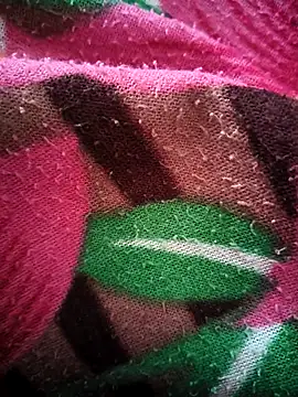 bold guy 1234 online show from October 15, 2025, 5:07 am