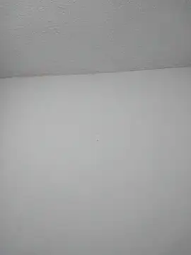 LaraStons online show from November 10, 2025, 11:48 pm