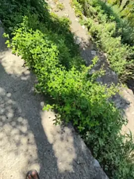 karandeep Bhagat online show from April 27, 2026, 6:00 am