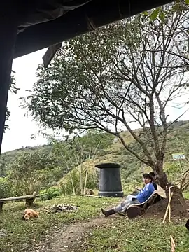 sky-wolves online show from September 24, 2025, 4:43 pm