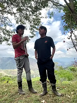 sky-wolves online show from September 29, 2025, 4:56 pm