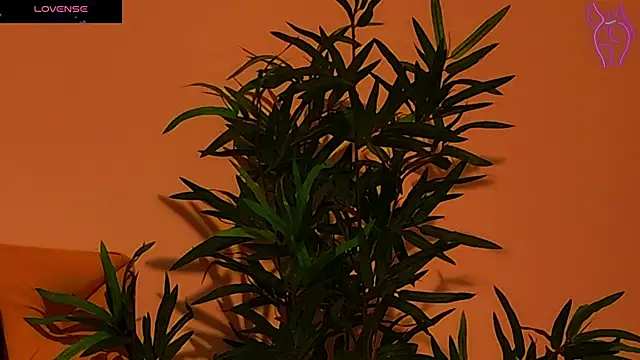 Snapshot of CoraVex chatting on September 25, 2025, 4:27 am CoraVex online show from September 25, 2025, 4:27 am