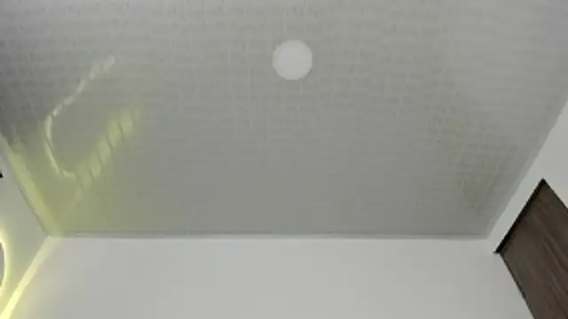 brandy h9 online show from January 17, 2026, 3:11 am