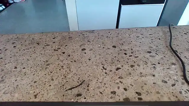 cruelworldxxx online show from February 14, 2026, 11:01 pm