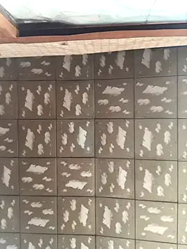 pualldu online show from November 23, 2025, 3:06 am