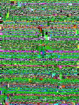 Alan18cmsafado online show from September 22, 2025, 3:41 am