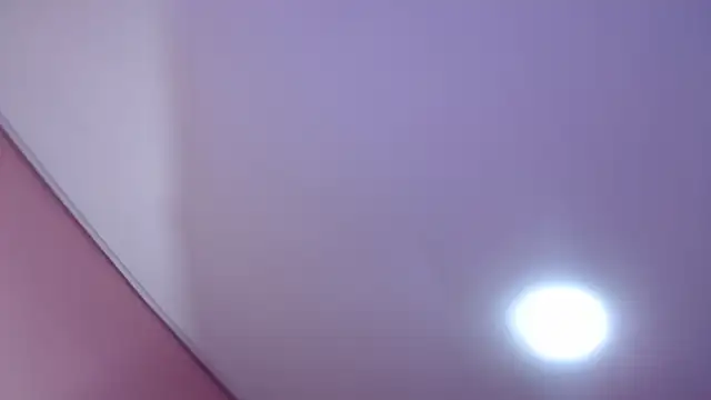 Bunny poison online show from November 1, 2025, 2:41 pm