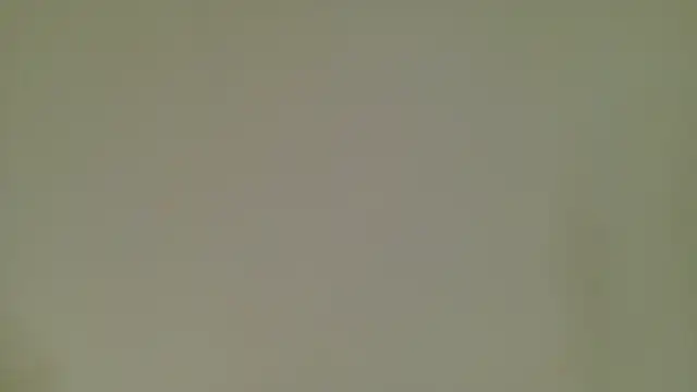Snapshot of KeendraFox_ chatting on June 13, 2026, 9:29 am KeendraFox online show from June 13, 2026, 9:29 am
