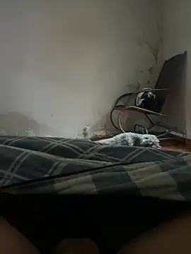 sambergSILVa online show from November 8, 2025, 12:38 pm