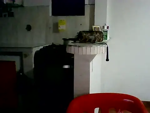 XavierFox1 online show from November 18, 2025, 3:45 am