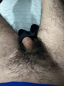 Mizo200 online show from November 8, 2025, 7:56 pm