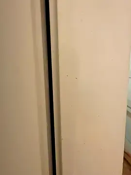 hhhajjib online show from November 17, 2025, 5:19 pm