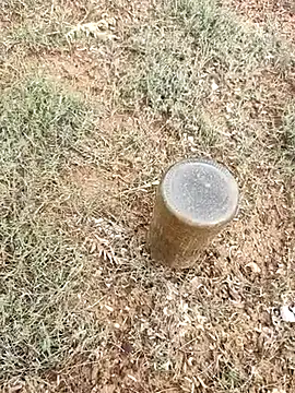 Snapshot of telugumodda4396 chatting on October 6, 2025, 2:31 am telugumodda4396 online show from October 6, 2025, 2:31 am