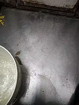 Snapshot of telugumodda4396 chatting on November 12, 2025, 1:50 am telugumodda4396 online show from November 12, 2025, 1:50 am