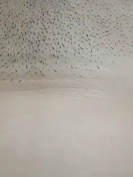 xxSafiraxx online show from October 5, 2025, 7:39 am