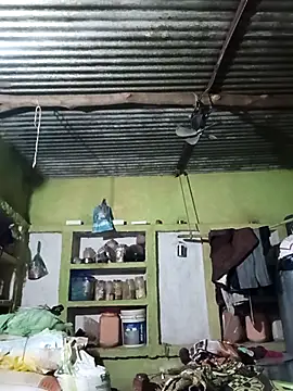 Haliya88 online show from October 6, 2025, 6:49 pm