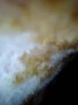 alone boy802 online show from October 30, 2025, 6:26 am