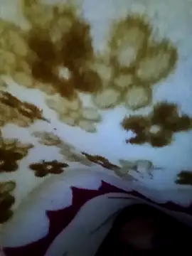 alone boy802 online show from November 8, 2025, 7:30 am