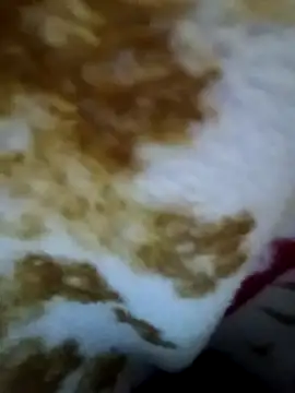 alone boy802 online show from November 9, 2025, 4:49 pm