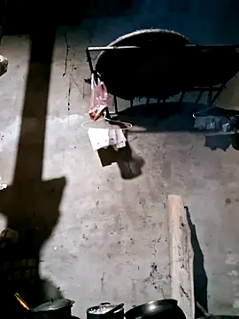 xuxulovezz online show from November 13, 2025, 1:04 am