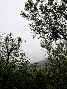 xuxulovezz online show from April 1, 2026, 1:50 am