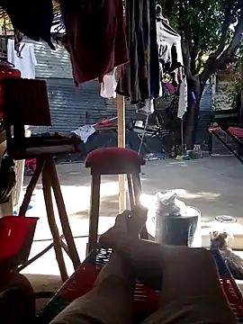 SALCEDO 041198 online show from September 24, 2025, 1:25 pm