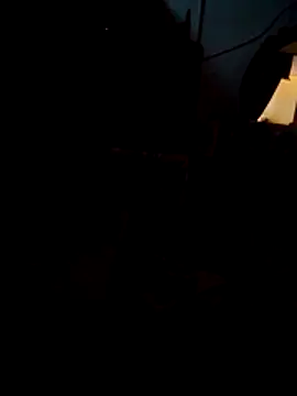 SALCEDO 041198 online show from November 5, 2025, 11:32 am