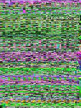 aoyo66 online show from November 5, 2025, 12:16 pm