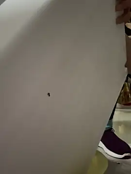 Snapshot of aoyo66 chatting on April 3, 2026, 11:19 am aoyo66 online show from April 3, 2026, 11:19 am