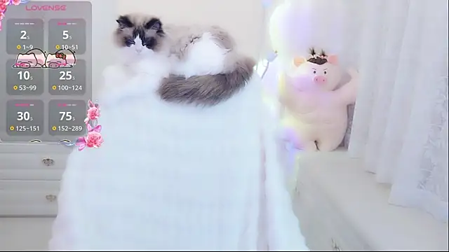 Snapshot of Coco-Di chatting on May 9, 2026, 1:44 am Coco-Di online show from May 9, 2026, 1:44 am