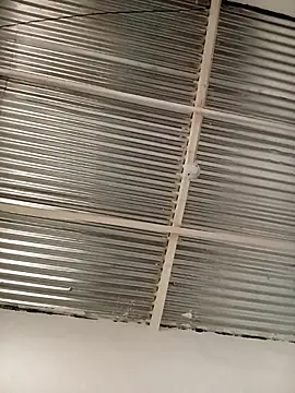 kingbickcockDn online show from November 23, 2025, 5:35 pm