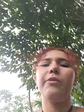  TOMOE online show from November 29, 2025, 6:00 pm