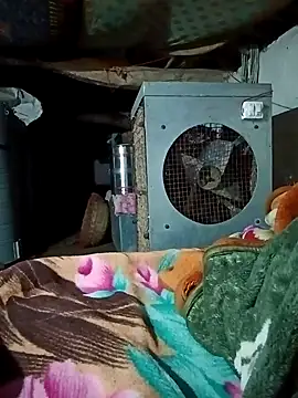 Snapshot of Lona2525 chatting on February 16, 2026, 8:38 pm Lona2525 online show from February 16, 2026, 8:38 pm