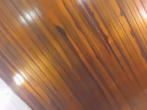 AliceCat 01 online show from November 14, 2025, 4:33 am