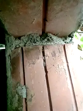 Tuelam xx online show from October 26, 2025, 12:05 am