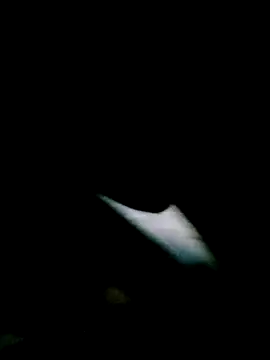 Tuelam xx online show from October 31, 2025, 9:43 am