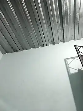 Snapshot of Dani156y chatting on October 30, 2025, 7:54 am Dani156y online show from October 30, 2025, 7:54 am