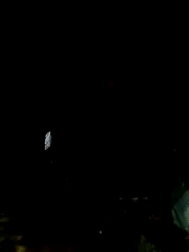 Snapshot of mntzz88 chatting on November 1, 2025, 11:07 pm mntzz88 online show from November 1, 2025, 11:07 pm