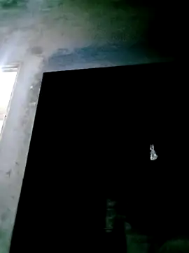 Snapshot of mntzz88 chatting on November 4, 2025, 11:53 am mntzz88 online show from November 4, 2025, 11:53 am