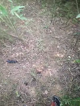 Aadityaaa07 online show from November 11, 2025, 5:40 am