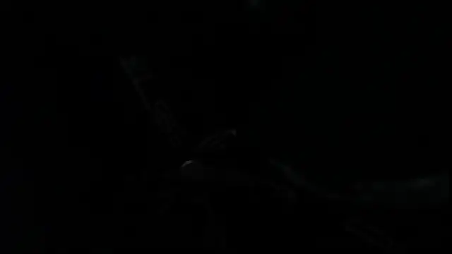 SteveDickson  online show from October 14, 2025, 9:15 pm