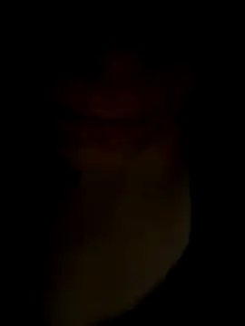 pleasedontpressaredburton online show from November 14, 2025, 1:04 am