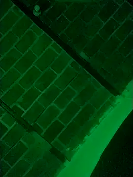 Buddha289 online show from March 9, 2026, 7:34 am