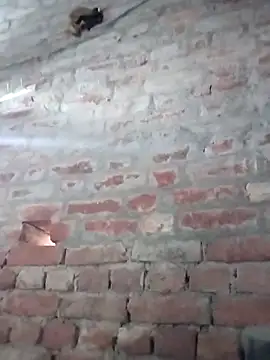 Snapshot of Rani_089 chatting on October 6, 2025, 1:58 am Rani 089 online show from October 6, 2025, 1:58 am