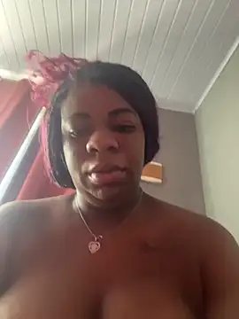 Priihmedeiros online show from December 15, 2025, 11:36 am