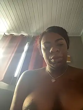 Priihmedeiros online show from February 14, 2026, 10:12 am