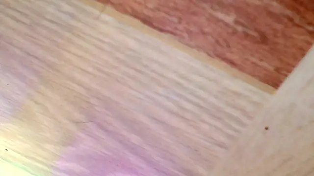 shannon kinne  online show from March 31, 2026, 4:40 pm