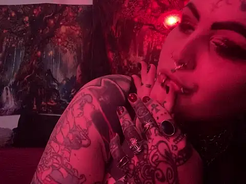 nyxvelon online show from February 17, 2026, 9:54 pm