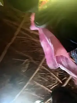 Snapshot of Janvi_tv chatting on October 31, 2025, 5:19 am Janvi tv online show from October 31, 2025, 5:19 am