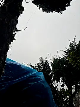 Snapshot of miomio-12 chatting on November 2, 2025, 1:35 pm miomio-12 online show from November 2, 2025, 1:35 pm